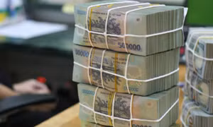 World Bank: Việt Nam có thể cân nhắc 1 gói hỗ trợ quy mô lớn