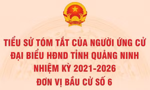 Tiểu sử tóm tắt của người ứng cử đại biểu HĐND tỉnh Quảng Ninh nhiệm kỳ 2021 - 2026 (Đơn vị bầu cử số 6)