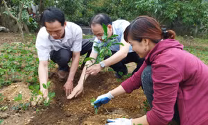 Hoạt động hội luôn đổi mới, thực chất