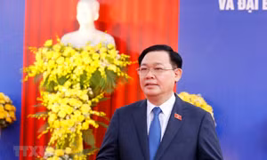 ''Qua cuộc bầu cử càng thấy được sức mạnh to lớn của nhân dân''