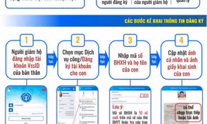 Một số thủ thuật khai nhanh chóng tài khoản BHXH điện tử trên VssID cho con 