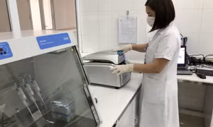 Móng Cái: Đưa hệ thống xét nghiệm sàng lọc virus SARS-CoV-2 theo phương pháp Real- time PCR vào hoạt động 
