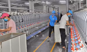Phòng bệnh nghề nghiệp cho người lao động
