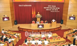 Hội nghị Ban Chấp hành Đảng bộ tỉnh lần thứ 30 (khoá XIII), tháng 8-2014