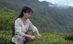 Lý Tử Thất: 'Tôi đánh vài lớp phấn rồi vẫn đen'