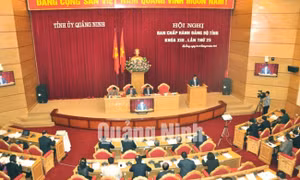 Hội nghị Ban Chấp hành Đảng bộ tỉnh lần thứ 25 (khoá XIII), tháng 1-2014