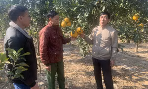 Yên Than xây dựng NTM kiểu mẫu