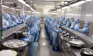 Thủ tướng Chính phủ phê duyệt Kế hoạch thực hiện Hiệp định UKVFTA