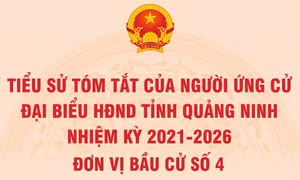 Tiểu sử tóm tắt của người ứng cử đại biểu HĐND tỉnh Quảng Ninh nhiệm kỳ 2021 - 2026 (Đơn vị bầu cử số 4)
