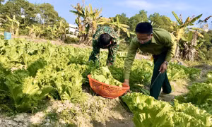 Góp phần xây dựng Quân đội vững mạnh toàn diện