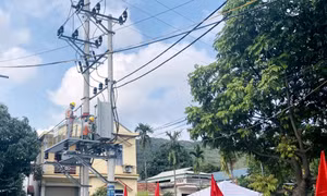 Tạm dừng tất cả công tác trên lưới điện trong ngày bầu cử