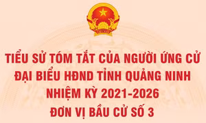 Tiểu sử tóm tắt của người ứng cử đại biểu HĐND tỉnh Quảng Ninh nhiệm kỳ 2021 - 2026 (Đơn vị bầu cử số 3)