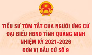 Tiểu sử tóm tắt của người ứng cử đại biểu HĐND tỉnh Quảng Ninh nhiệm kỳ 2021 - 2026 (Đơn vị bầu cử số 9)
