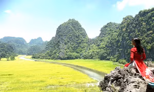 "Mùa vàng Tam Cốc - Bích Động"
