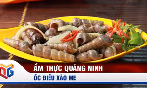 Ốc điếu xào me