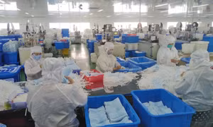Doanh nghiệp xoay xở vượt khó