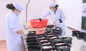 Từng bước tháo gỡ các "nút thắt"