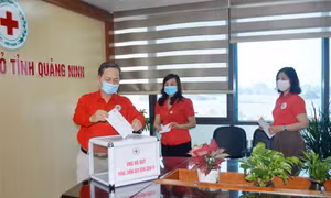 Hội Chữ thập đỏ tỉnh phát động ủng hộ Quỹ phòng, chống dịch Covid-19