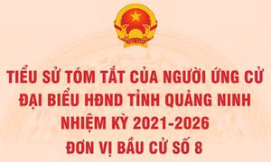 Tiểu sử tóm tắt của người ứng cử đại biểu HĐND tỉnh Quảng Ninh nhiệm kỳ 2021 - 2026 (Đơn vị bầu cử số 8)