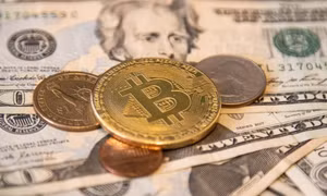 Bitcoin có thể cán mốc 100.000 USD vào năm sau