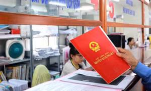 Có nhiều thửa đất vượt hạn mức đất ở, khai nộp thuế thế nào?
