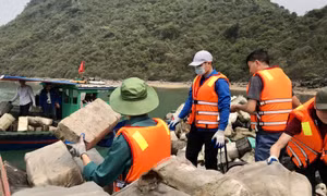 Các địa phương phải chịu trách nhiệm trước UBND tỉnh nếu vật liệu NTTS ảnh hưởng đến môi trường biển