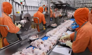 Mở rộng thị trường cho ngành công nghiệp thực phẩm