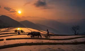 Sa Pa lấp lánh mùa nước đổ