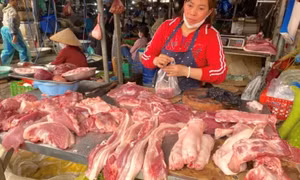 Giá heo hơi chạm đáy: Vì sao người tiêu dùng vẫn phải mua thịt heo giá cao ngất?