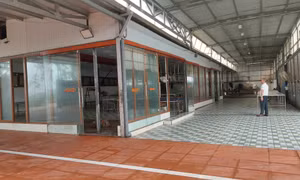 Cần tiếp tục quan tâm đến xây dựng cơ sở giết mổ gia súc, gia cầm tập trung