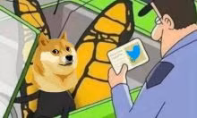Musk đổi logo Twitter thành hình chó Shiba