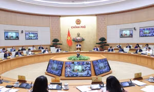 Chủ tịch UBND tỉnh làm Tổ trưởng Tổ công tác đặc biệt gỡ vướng cho doanh nghiệp, dự án đầu tư