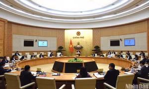 Bảo đảm tiến độ và chất lượng trong quá trình hoàn thiện các văn bản quy phạm pháp luật
