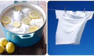 3 cách tẩy trắng quần áo bằng chanh hiệu quả và an toàn cho da tay