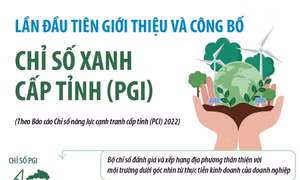 Lần đầu tiên giới thiệu và công bố Chỉ số Xanh (PGI) cấp tỉnh