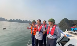 Trước ngày 28/4 phải thu gom xong toàn bộ phao xốp trôi nổi trên Vịnh Hạ Long