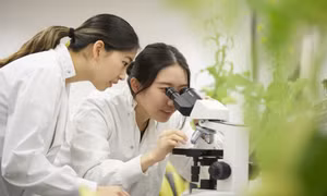 Vinschool công bố chương trình dự bị đại học NCUK - Vinschool