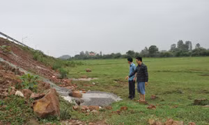 Đất nông nghiệp bị bỏ hoang do thi công dự án đường giao thông ở Vạn Ninh