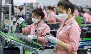 Doanh nghiệp FDI than khó khi áp chính sách thuế tối thiểu toàn cầu