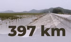397km - là tổng chiều dài hệ thống đê toàn tỉnh Quảng Ninh hiện nay