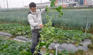 "Sự hỗ trợ của địa phương là động lực để tôi gắn bó với Đông Triều"