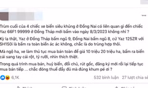 Kiểm tra thông tin 4 biển số đẹp được bấm cùng 1 ngày ở Đồng Tháp
