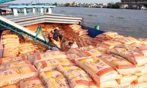 Xuất khẩu gạo tiếp tục thuận lợi