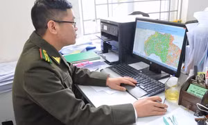 Nỗ lực hoàn thiện các cơ sở dữ liệu chuyên ngành