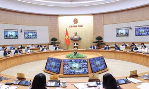 Thủ tướng phân công từng Thành viên Chính phủ làm việc với địa phương để đôn đốc, gỡ khó, thúc đẩy sản xuất kinh doanh