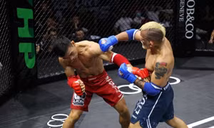 Vì sao trọng tài MMA chấm võ sỹ Brazil thắng bị kỷ luật?