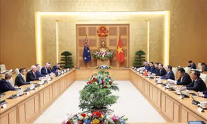 Thủ tướng Phạm Minh Chính hội kiến Toàn quyền Australia