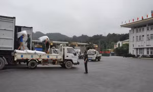 Kim ngạch XNK qua cửa khẩu Bắc Phong Sinh đạt hơn 13,5 triệu USD