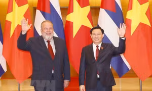 Thắt chặt quan hệ hợp tác hữu nghị đặc biệt Việt Nam-Cuba