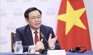 Chủ tịch Quốc hội Vương Đình Huệ gặp Chủ tịch Thượng viện, Phó Tổng thống Argentina